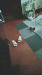 玩弄闺蜜的男朋友