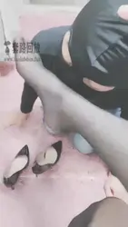 主人黑丝袜诱惑贱狗
