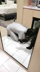 圣水洗刷团长的灵魂