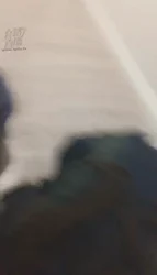 同好共享 玩弄两只小猫咪