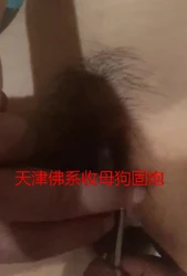 天津收母狗有调教室