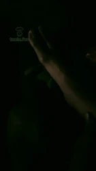高清 电影院调狗 上部