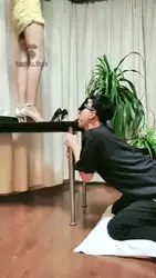 玩狗舌头