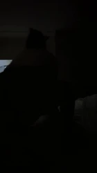 我的大屁股熟女