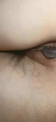 鲍鱼汁