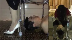 变成了深圳魔女的专属马桶