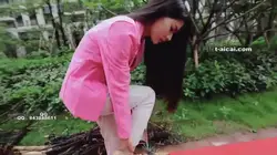 总监的崩溃 上集
