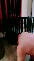 高清 暴打犯错的狗 高跟舔锃亮
