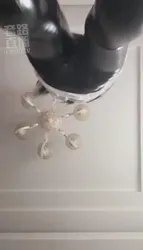 皮裤 上帝视角 红绿灯 倒计时