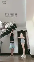 真的把面前这个宠物玩废了