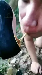 深山老林玩狗