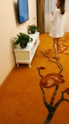 性感女房客让我去她家帮忙换灯泡 发现她床上居然还有情趣用品