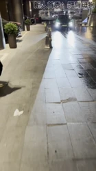 粉丝母狗