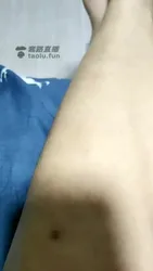 高清 双王玩狗
