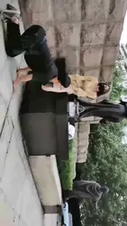 美女户外带着她的人形犬遛弯