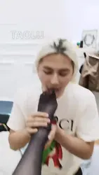 木秋夜深了 后半场 训练大金毛