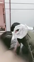 小母狗和公狗一起伺候
