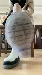 红绿灯 淫荡的妻子