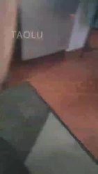 踢裆专场