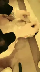 木乃伊窒息上课