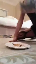 喂狗吃饭 调教狗
