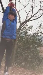 同好共享 深山老林 重度吊打