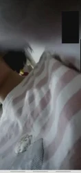 骚母狗在家玩奶