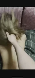 另一个学姐的丝袜诱惑
