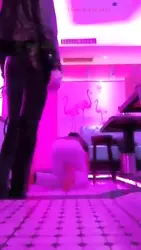 高靴踢裆专场