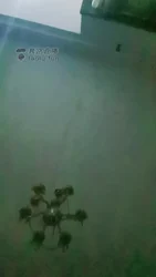 就喜欢玩大叔