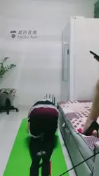 女装家奴调教