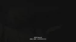 大鸡吧操熟女骚逼
