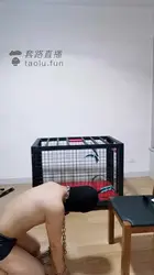 一条抗拒直播的贱狗