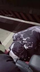 一个深夜犯贱的小奶狗