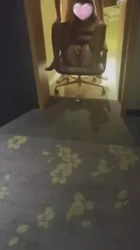 老婆和单男3p，酒店露出调情