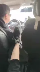 文文过来当司机舔鞋