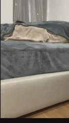 同学，快射进老师的逼里