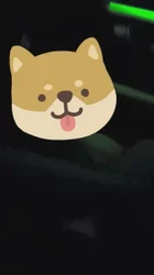 在车上玩一会