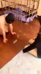 人形犬调教 二
