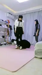 傲柔 骑马 钻跨 踩踏 遛狗