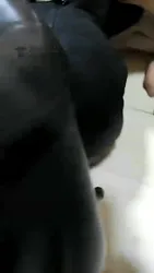 短靴虐狗 脚趾夹橘子 喂食 上集