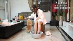 黑丝诱惑 沐沐 男奴和狗狗抢着喝女主的原味洗脚水
