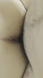 一点点肏进母狗的骚穴