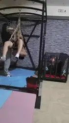 虐老狗