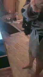 随意玩贱狗 舔脚 踩踏 坐脸 窒息 红绿灯
