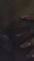 被我干了两年的黑B老情人（和老公一直不和谐）