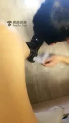 舔美脚 脚趾夹零食给男奴吃
