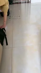 惩罚狗做家务