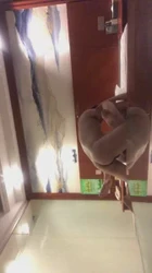 调教广佛骚逼3
