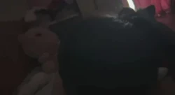 南通约炮